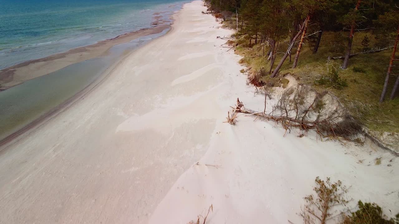 Aerial view of Baltic sea coast on a sunny day, steep seashore dunes damaged by waves, broken pine trees, coastal erosion, climate changes, wide angle drone shot moving backwards over the white sand