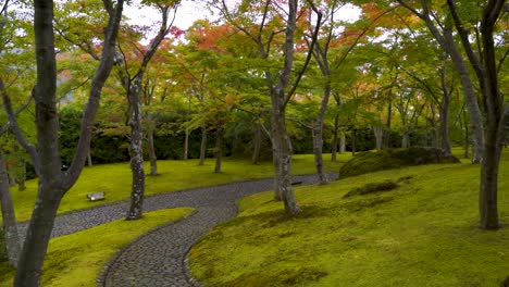 Slow-motion-push-in-at-landscape-garden-with-moss-during-fall-colors