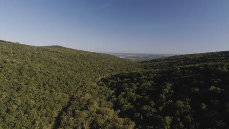 Early-morning-bright-sun-shines-on-a-forested-valley