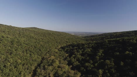 early morning bright sun shines on a forested valley