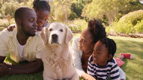 cute family is lying in the grass with a dog