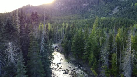 Niedrige-Drohnenaufnahme,-Die-Einen-Fluss-Im-Wald-Hinauffliegt-Und-Berge-In-Richtung-Sonne-Führt