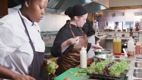 View-of-the-chefs-making-dishes