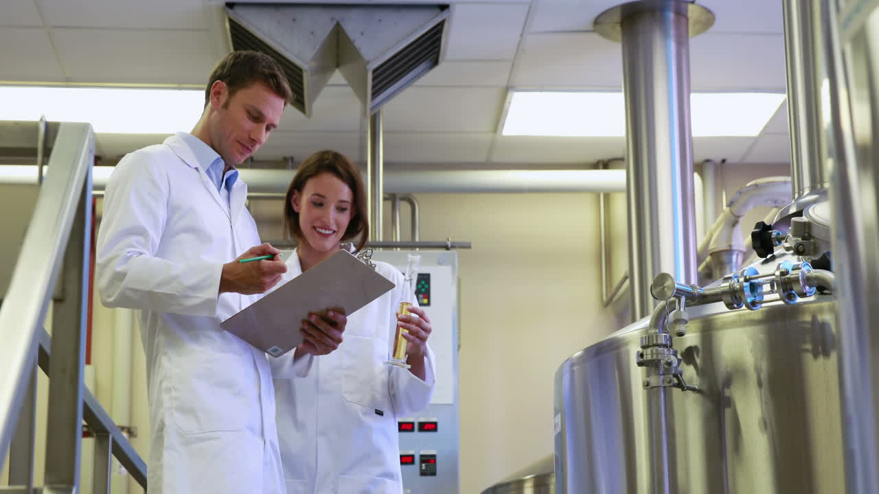 equipo de cerveceros que trabajan juntos