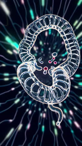 3d illustration of dna structure and molecular processes