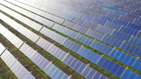 solar thermal collectors