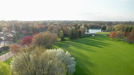 aerial reveals green grass field and park