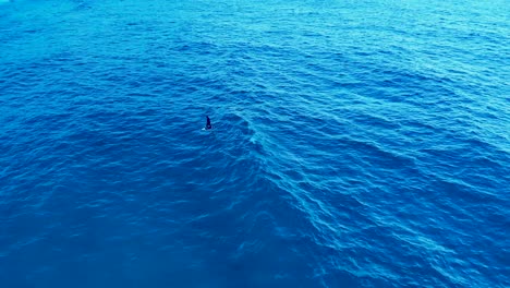 Surfers-on-foil-boards-in-clear-blue-water-at-Bondi-Beach