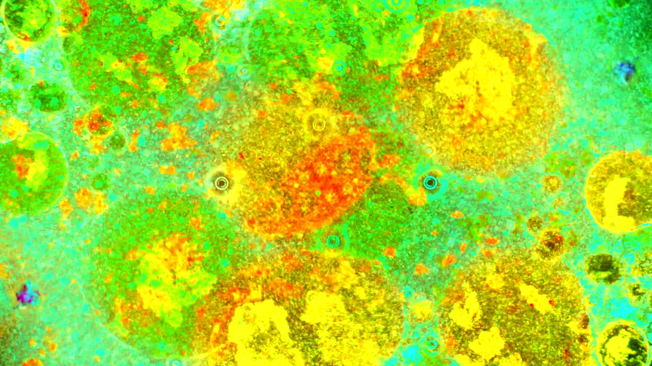 el rizado de las pinturas