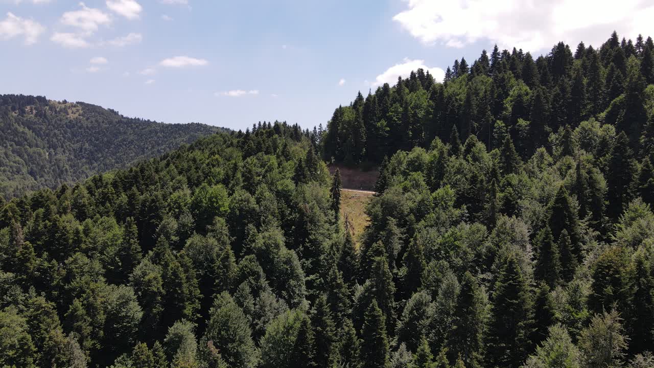toma aérea de drones camino forestal épico