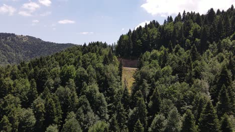 Luftdrohne-Schoss-Epische-Waldstraße