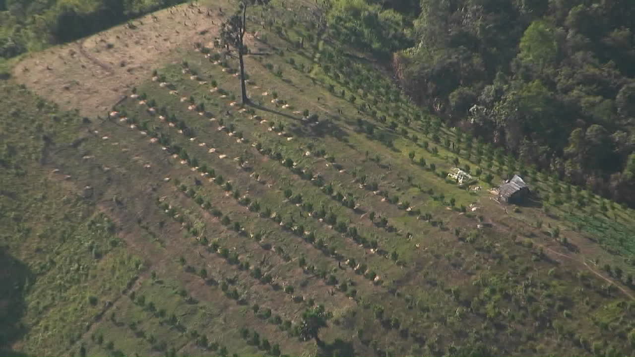 一座山坡上高處的農場的空中景色