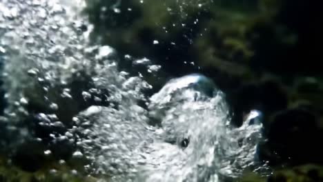 the enigmatic dance of bubbles underwater: captivating moments of aquatic life and fluid dynamics in a hidden world beneath the surface