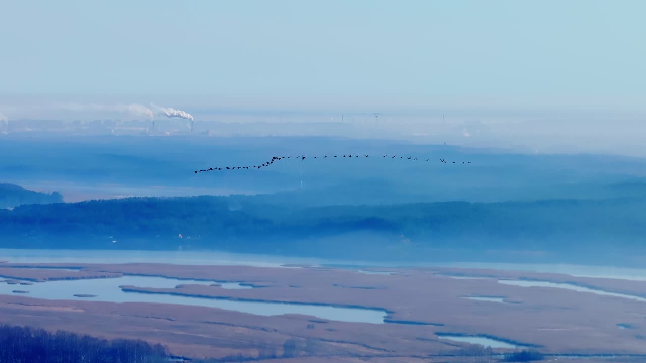 Long line of geese glides over spring marshlands, industrial chimneys releasing smoke far away