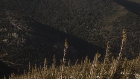 árboles-En-Las-Laderas-De-Las-Montañas-En-El-Parque-Nacional-De-Las-Montañas-Rocosas-Durante-La-Puesta-De-Sol