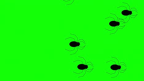 a group of flat style halloween spiders walking against a green background. seamless loop