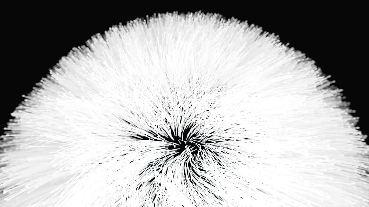 움직이는 막대기의 배경은 머리카락이나 머리카락처럼 보입니다.