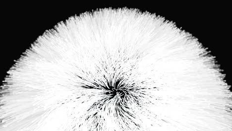 the background of moving sticks, looks like hair or hair.