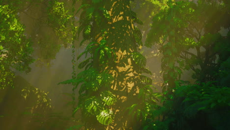 sunbeams filtering through a dense jungle