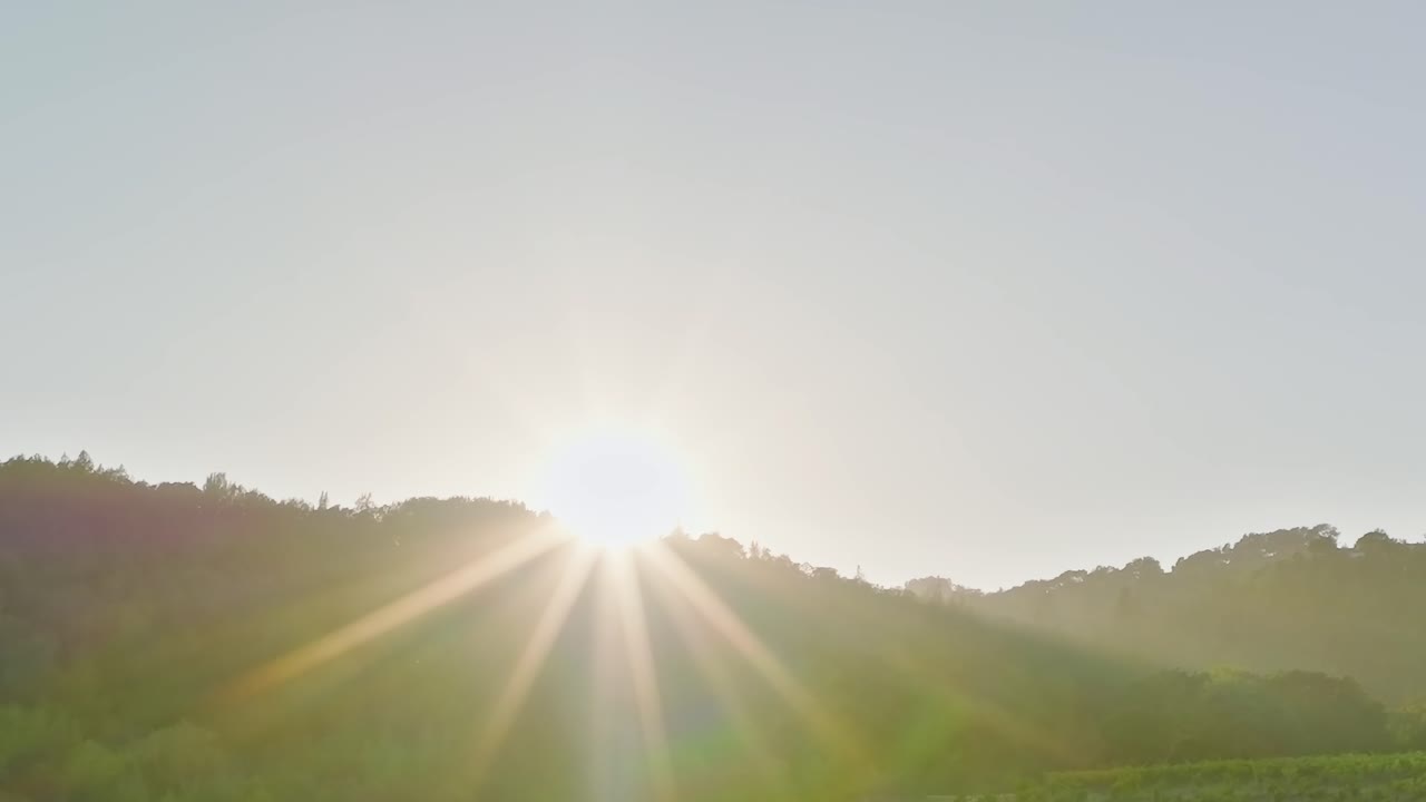 Nascer do sol sobre os vinhedos do Vale do Napa na Califórnia, EUA