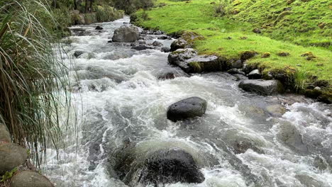 Río-Que-Fluye-En-Medio-Del-Bosque-De-Ecuador-2