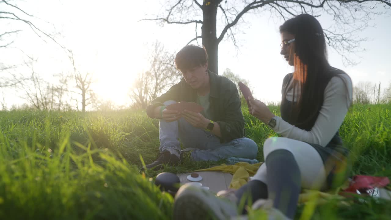 공원 에서 피크닉 을 즐기는 부부