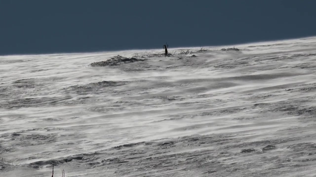 Vento forte che soffia neve su un pendio ghiacciato