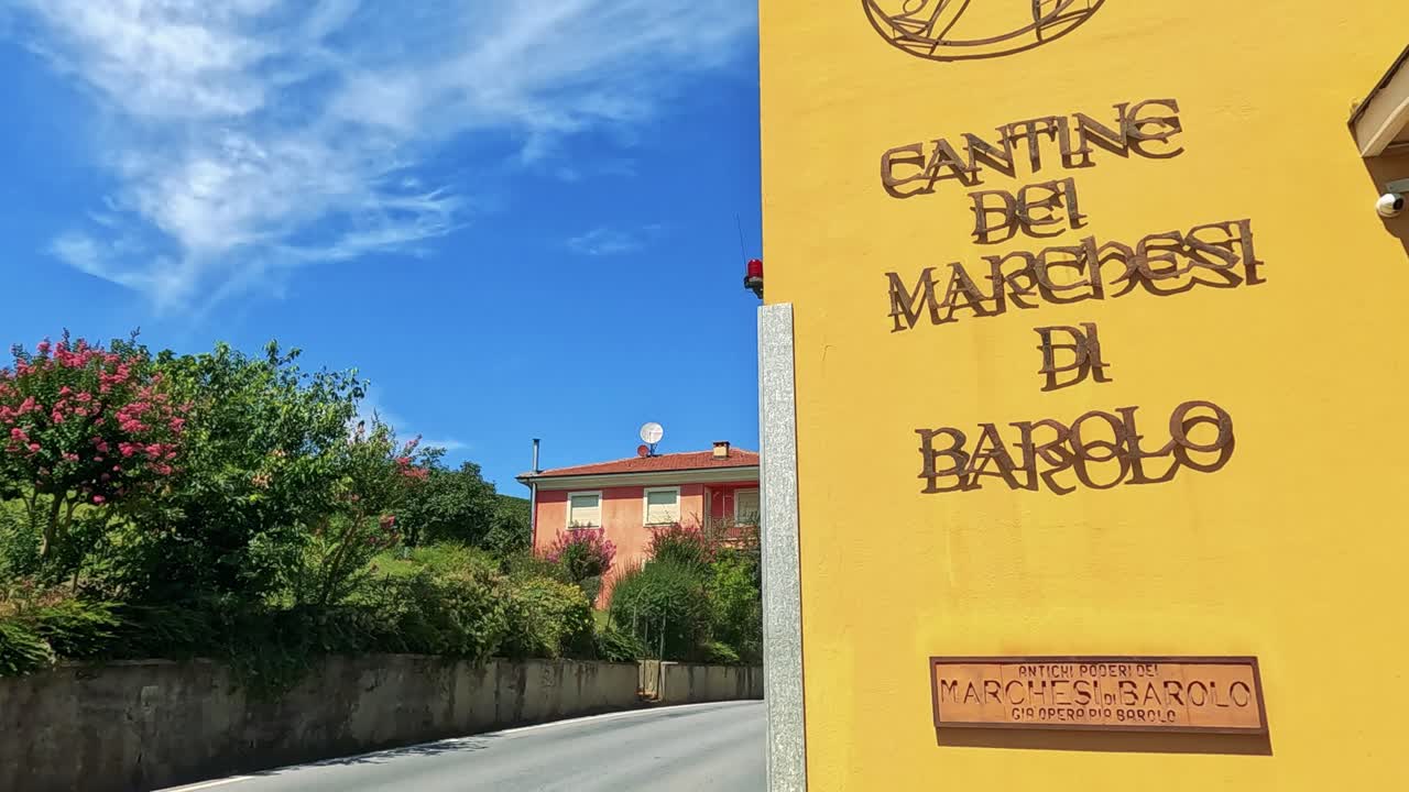 은 파란 하늘 을 가진 포도원 풍경