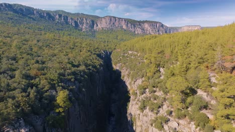 mountain valley with canyon and forest