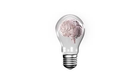 Light-bulb-with-revolving-brain