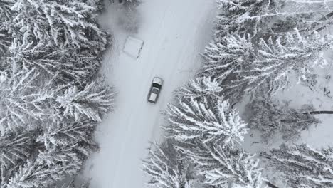 aerial view rising above a car on road in middle of snow covered forest, on a overcast, winter day - drone shot, rising, high angle