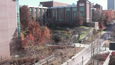 autumnal campus pathway