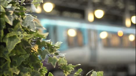 Train-waiting-in-a-railway-station