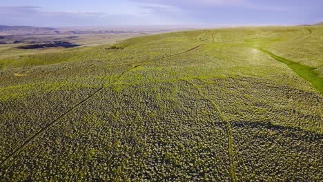 Luftaufnahmen-In-Wyoming-Während-Der-Sommerzeit