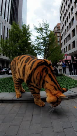 bengal cat in a city