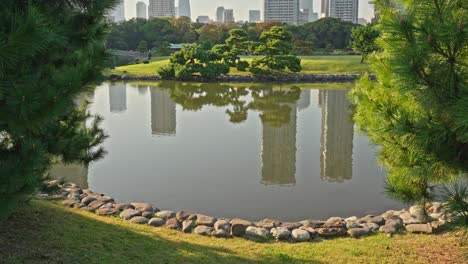a tranquil pond in hamarikyu gardens reflects modern city buildings under a clear sky, framed by green trees and a rock-lined shore.