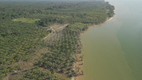 aerial drone view during summer alit fishing village,kabong with, facing open blue sea, white sandy beach,green coconut, palm trees,and river,sarawak,borneo