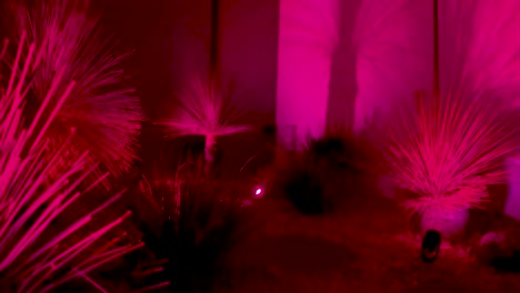 vibrant pink lights illuminate garden plants