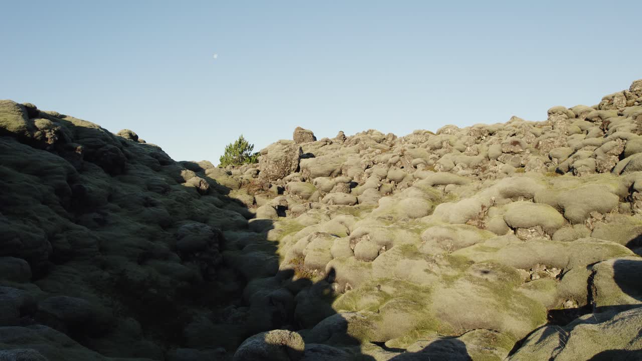 아이슬란드의 오래된 모스 녹색 용암  안에서 낮은 각도로 앞으로 날아갑니다.