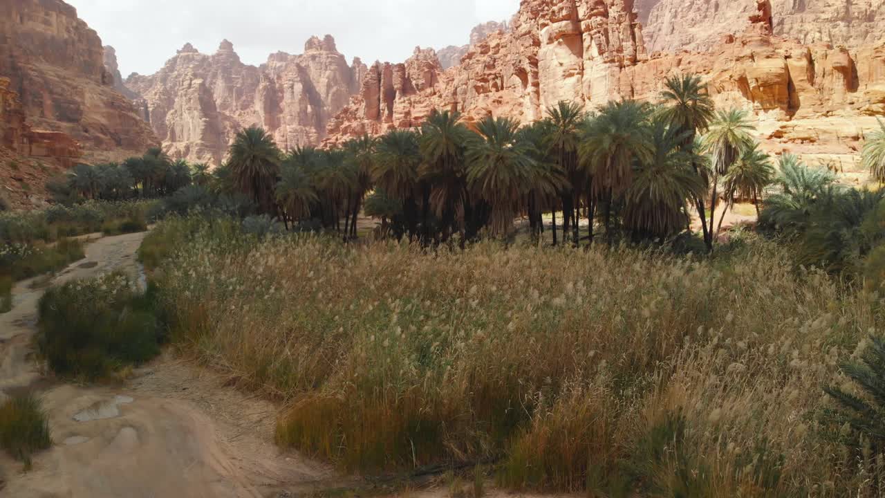 사우디 아라비아의 타부크 지역의 와디 알 디사 계곡의 공중 사진