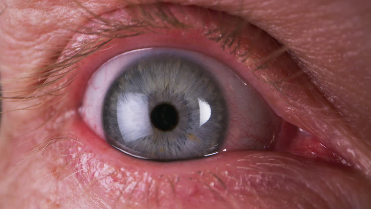 인간 눈의 클로즈업