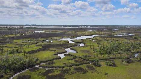 intracoastal waterway in jacksonville florida