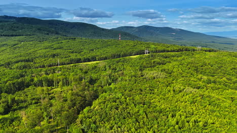 summer hills of lush europe. expansive greenery covers rolling hills under a clear blue sky, typical of a serene summer day in europe