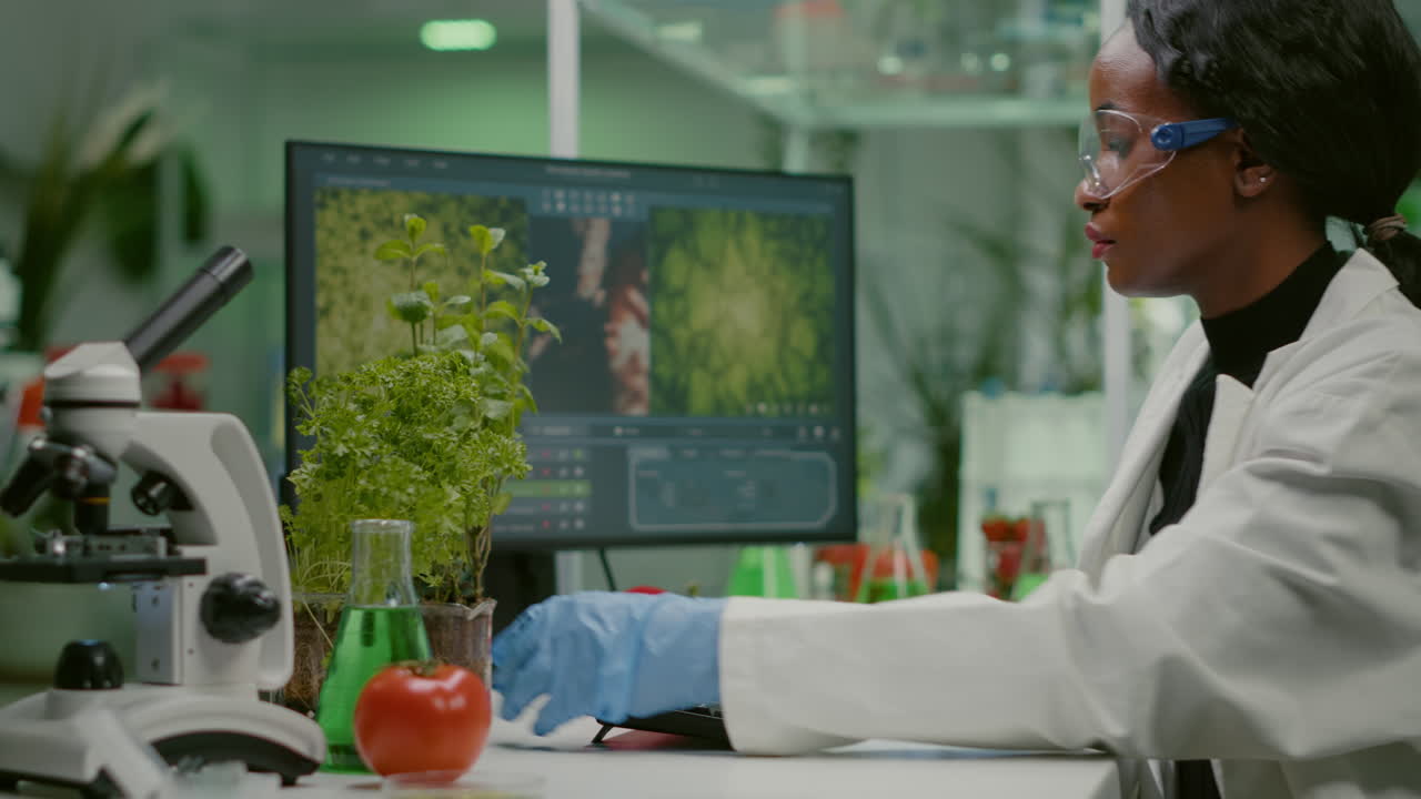 investigadora mirando un retoño verde comparándolo con un tomate