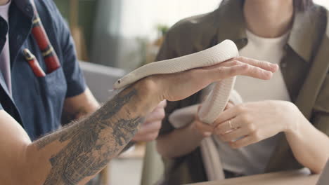 Close-Up-View-Of-Unrecognizable-Couple-Holding-And-Caressing-A-Snake-At-Home