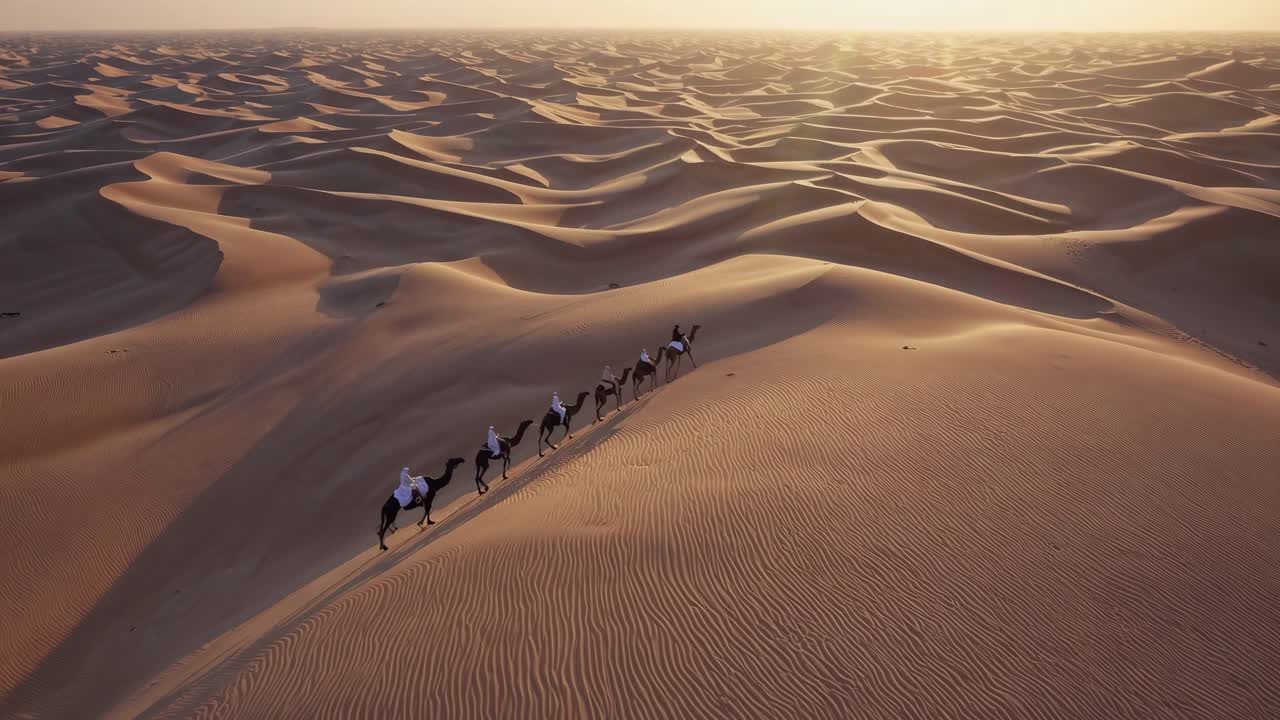 Un video aereo cattura una carovana di cammelli che attraversa le vaste dune del deserto al tramonto