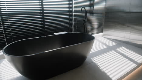 modern black oval bathtub in a minimalist bathroom