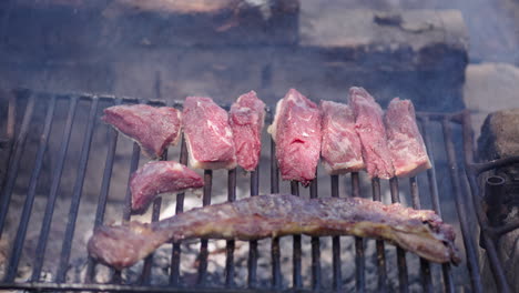 slow camera slide over argentine asado grill with skirt steak (entraña) and top sirloin cap ( picaña ) cuts grilling above wood embers, smoke rising and meat sizzling in authentic outdoor barbecue