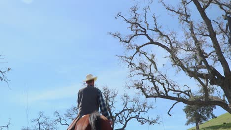 Toma-En-ángulo-Bajo-Del-Caballo-Y-Su-Jinete-Que-Salen-A-Buscar-El-Rebaño-De-Ganado