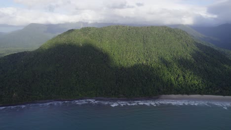 hermoso y tranquilo bosque de montaña del parque nacional daintree de queensland